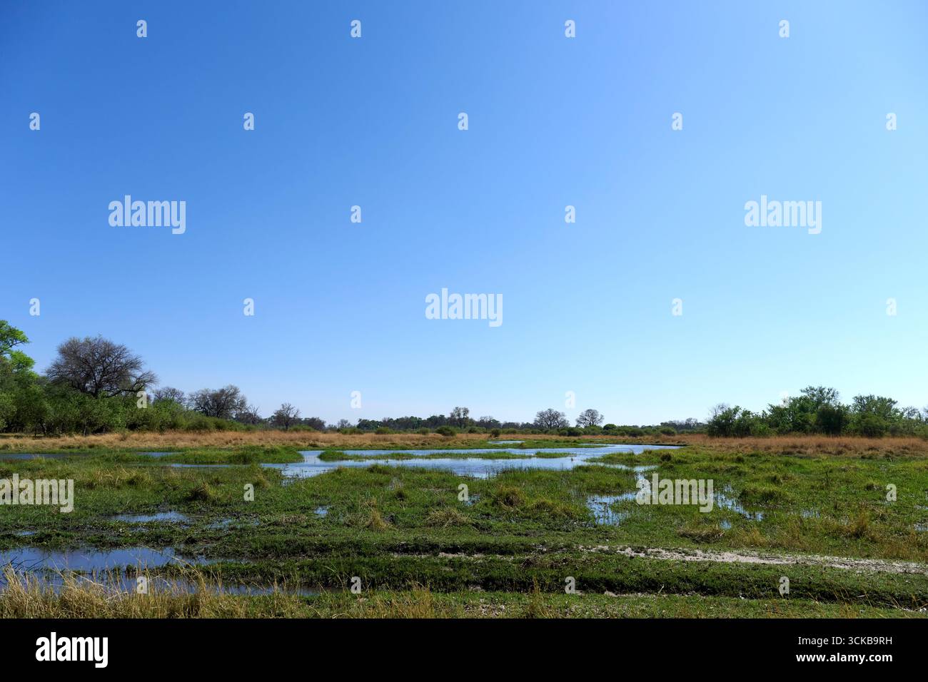 A section of the Khwai River in the Okavango Delta region of Botswana ...