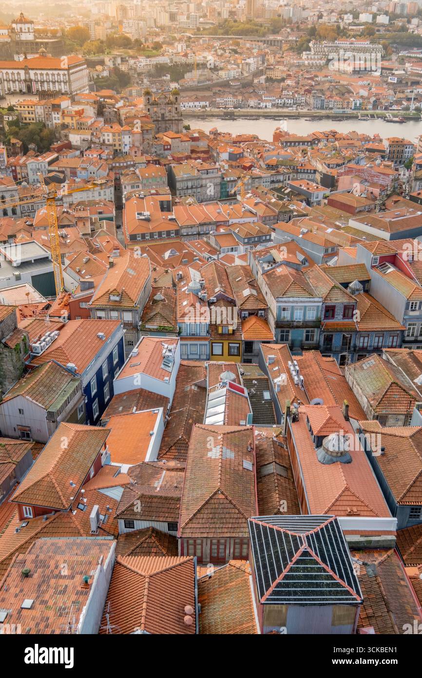 Aerial View From Clerigos Tower Of Porto Ribeira District And Douro River With Traditional Red Tile Roofs. Portuguese Historic Waterfront, Golden Hour Stock Photo