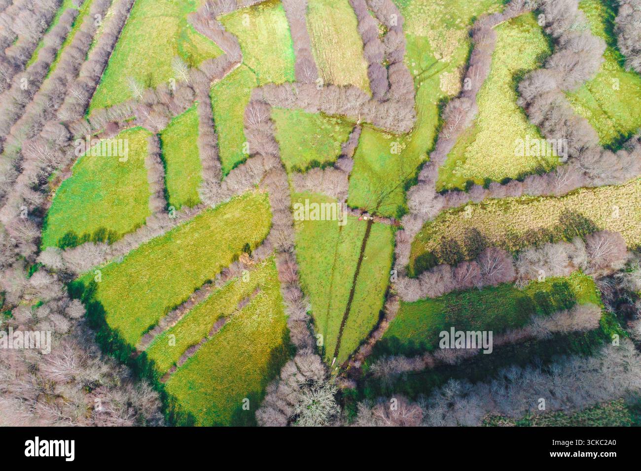 Aerial view vibrant patchwork hi-res stock photography and images - Alamy