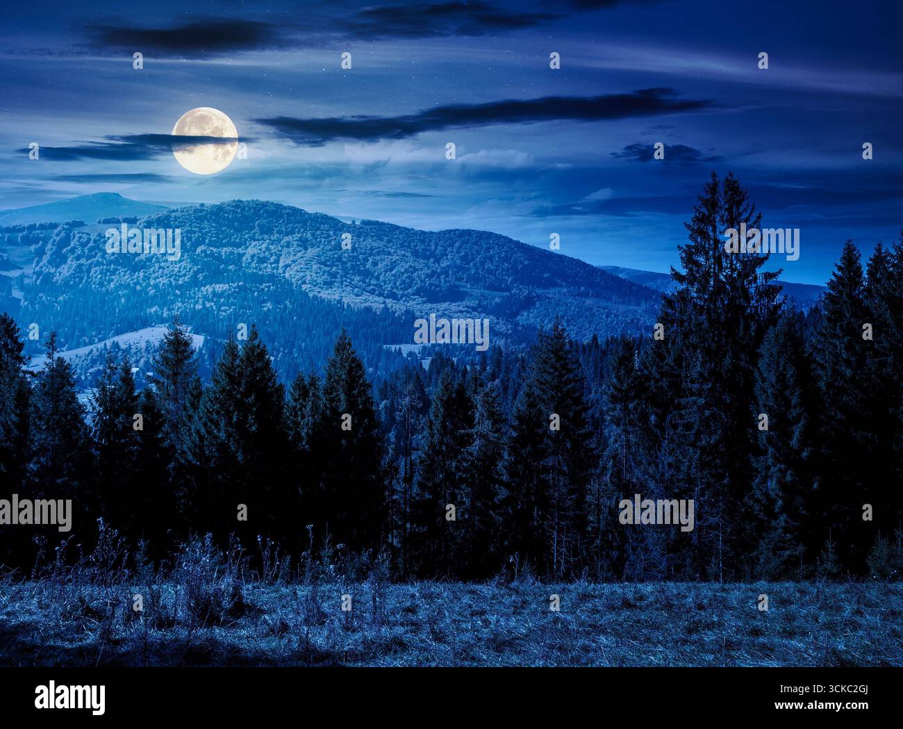 landscape with coniferous forest behind the meadow in autumn at night. nature background with blue sky and mountain ridge in full moon light. alpine w Stock Photo