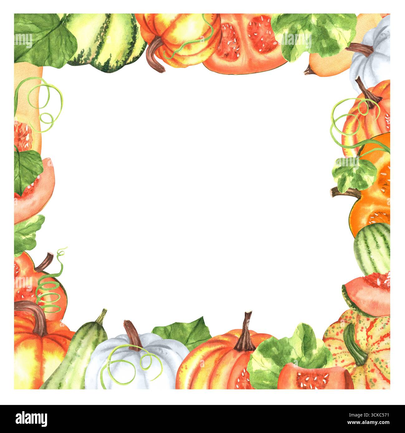 Watercolor vegetable garden hi-res stock photography and images - Alamy, image size:1299x1390