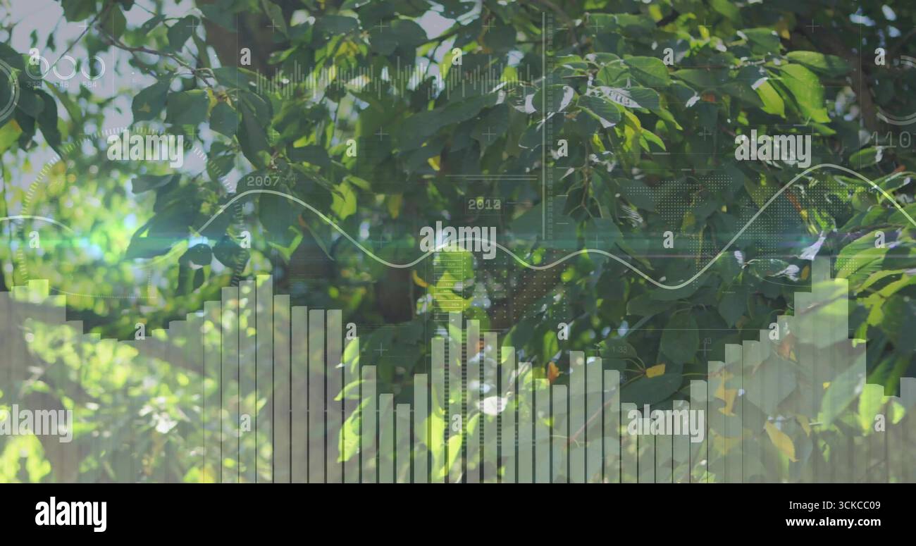 Canopy Filtering Software Showing canopy filtering sunlight in garden, with overlay of bar chart ...