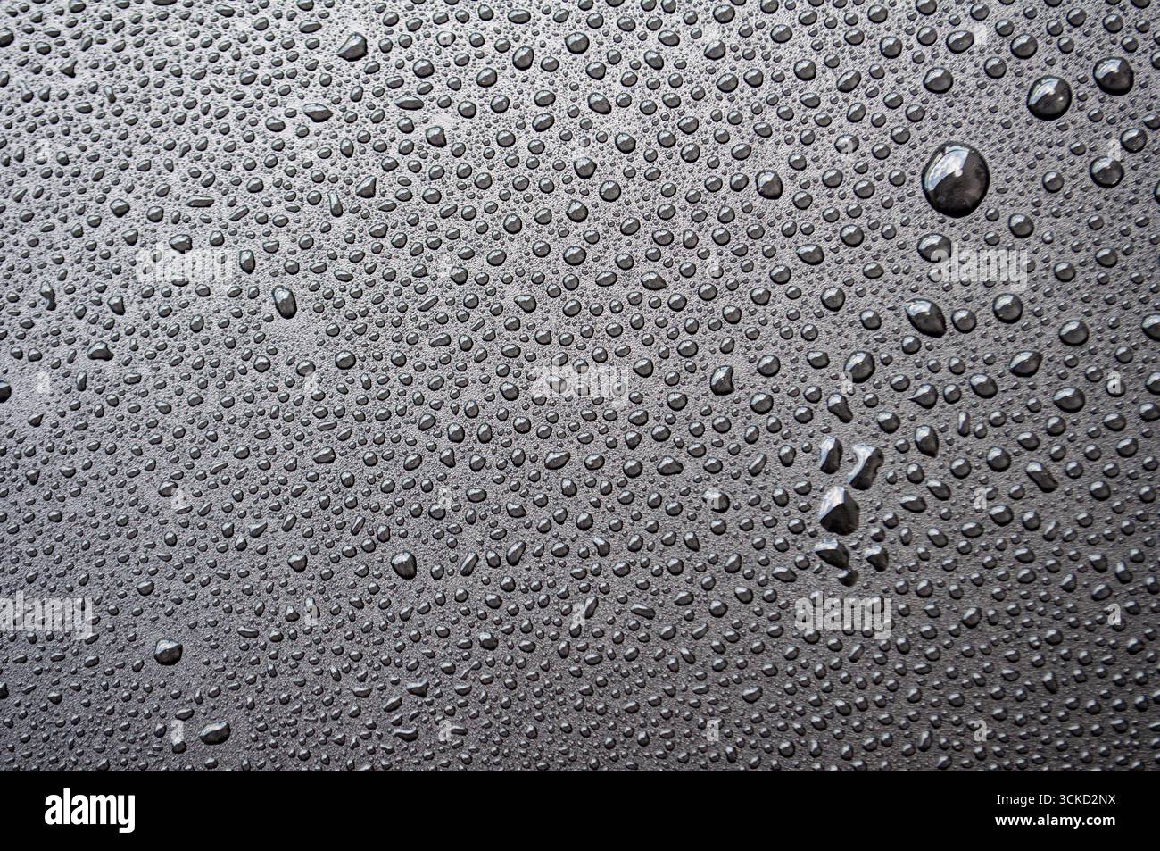 Side view of black surface with dense water droplets forming textured condensation background. Stock Photo