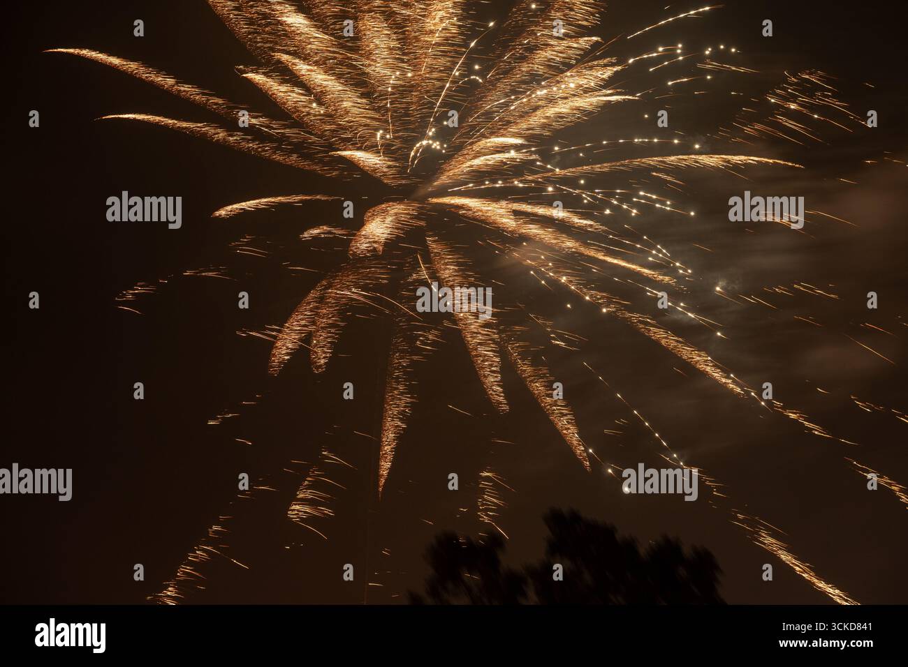 A fireworks display against the night sky Stock Photo