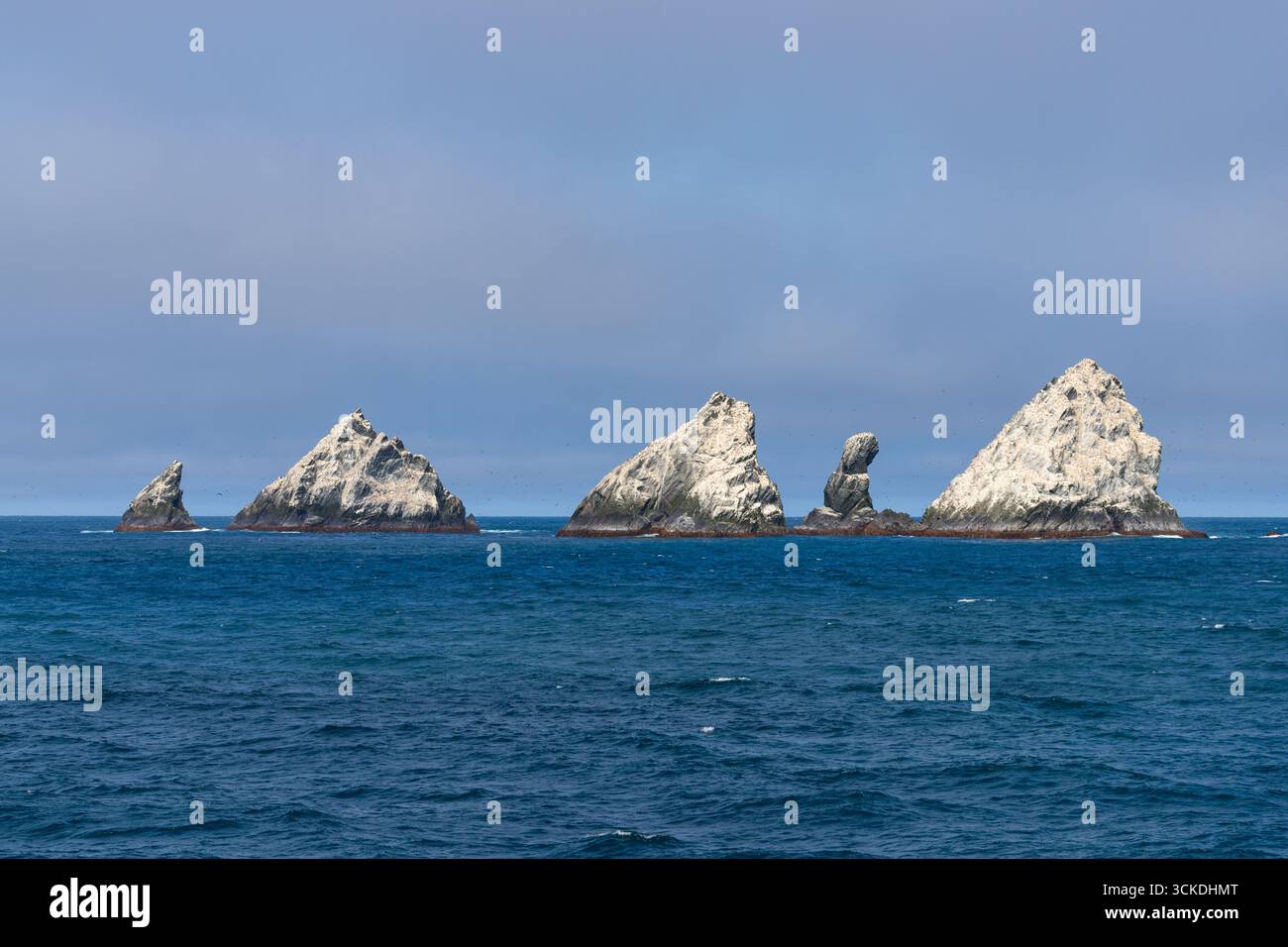 Shag Rocks (South Georgia) covered by the guano of seabirds ( blue-eyed ...