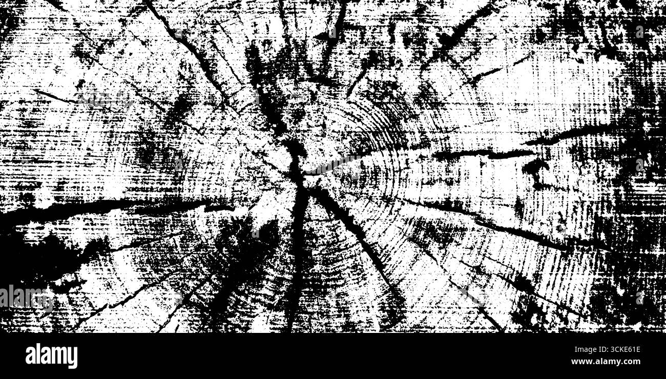 Weathered wood cross section pattern with growth rings for rustic ...