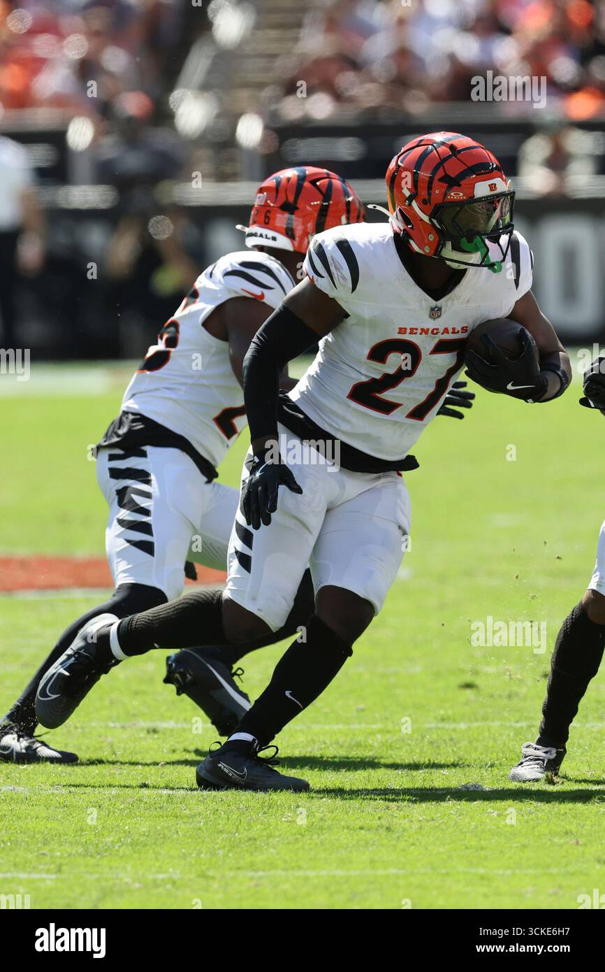 Cincinnati Bengals defeat Miami Dolphins 31-24 Cincinnati Bengals defeat Miami Dolphins 31-24
