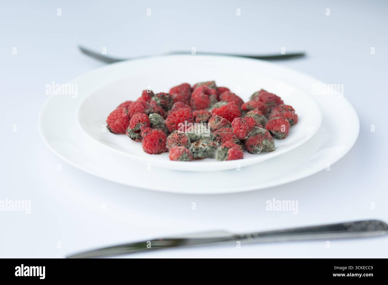 Moldy Raspberry Inside Expired raspberries plate hi-res stock photography and images - Alamy