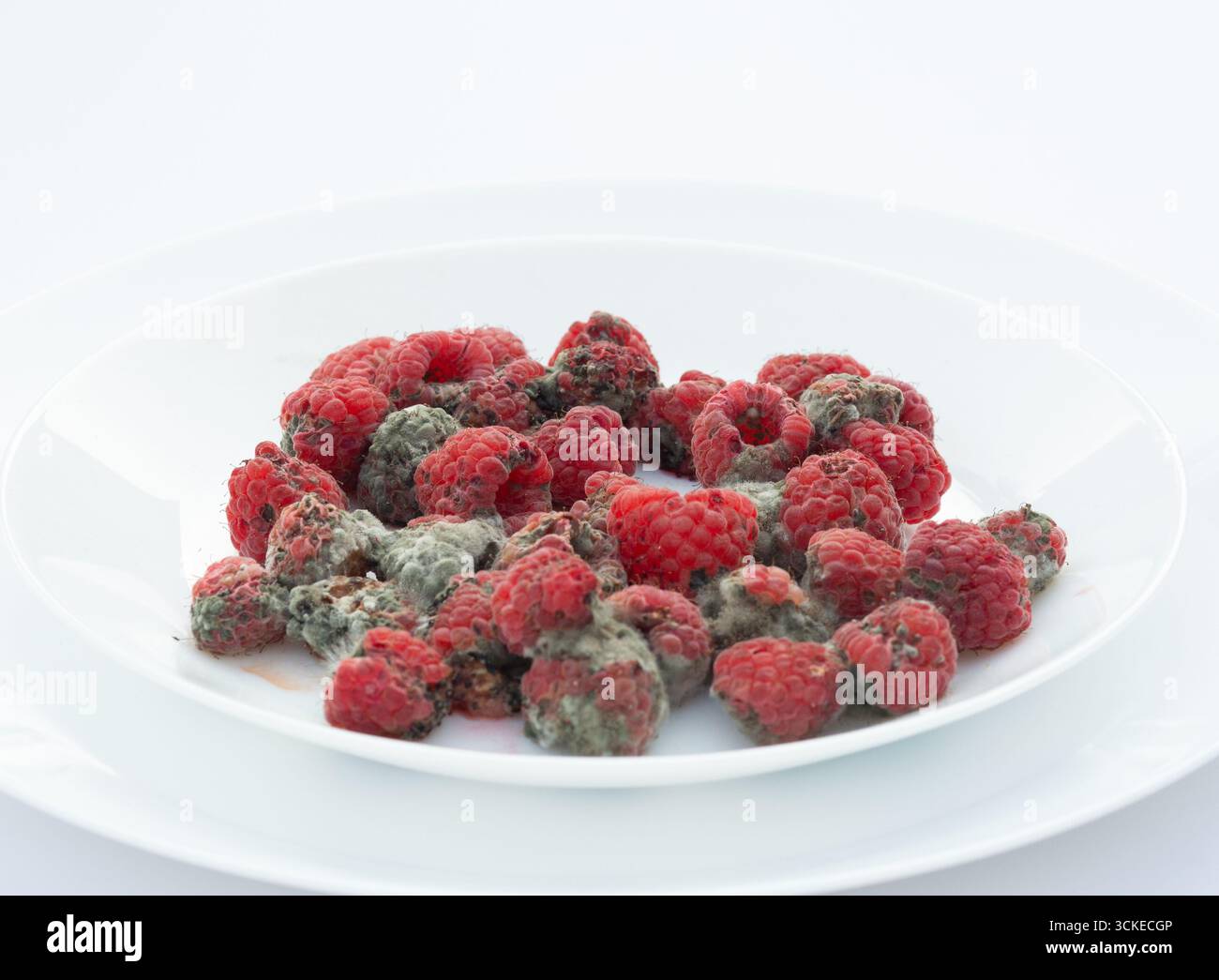 Grey Brown Raspberry Expired raspberries closeup photo hi-res stock photography and images ...