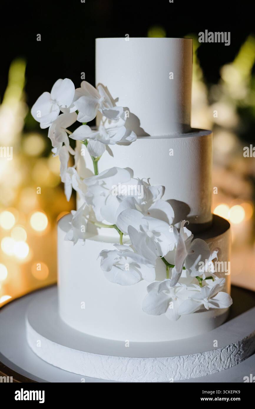 Orchids delicate features hi-res stock photography and images - Alamy