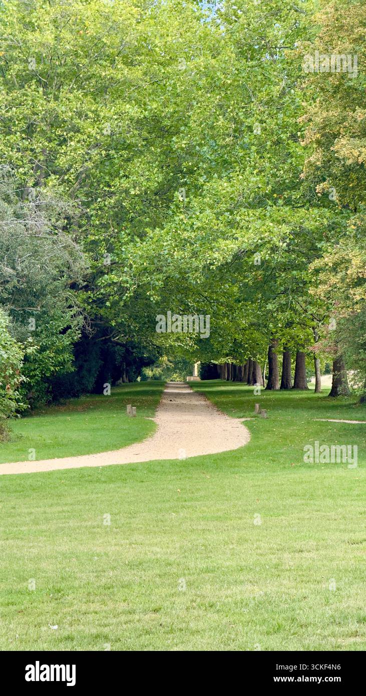 Pathway into nature at Stowe Gardens England - Smartphone Captured Stock Image
