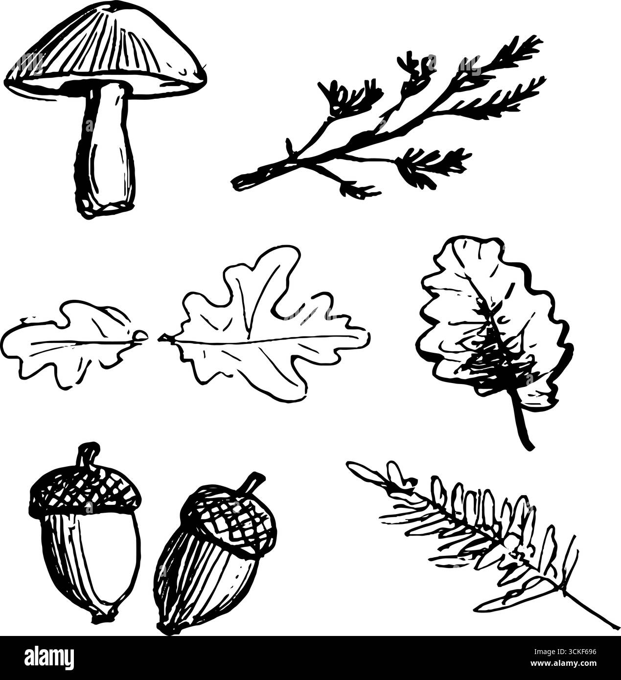 Hand-drawn sketch set of forest elements for nature-themed design Stock ...