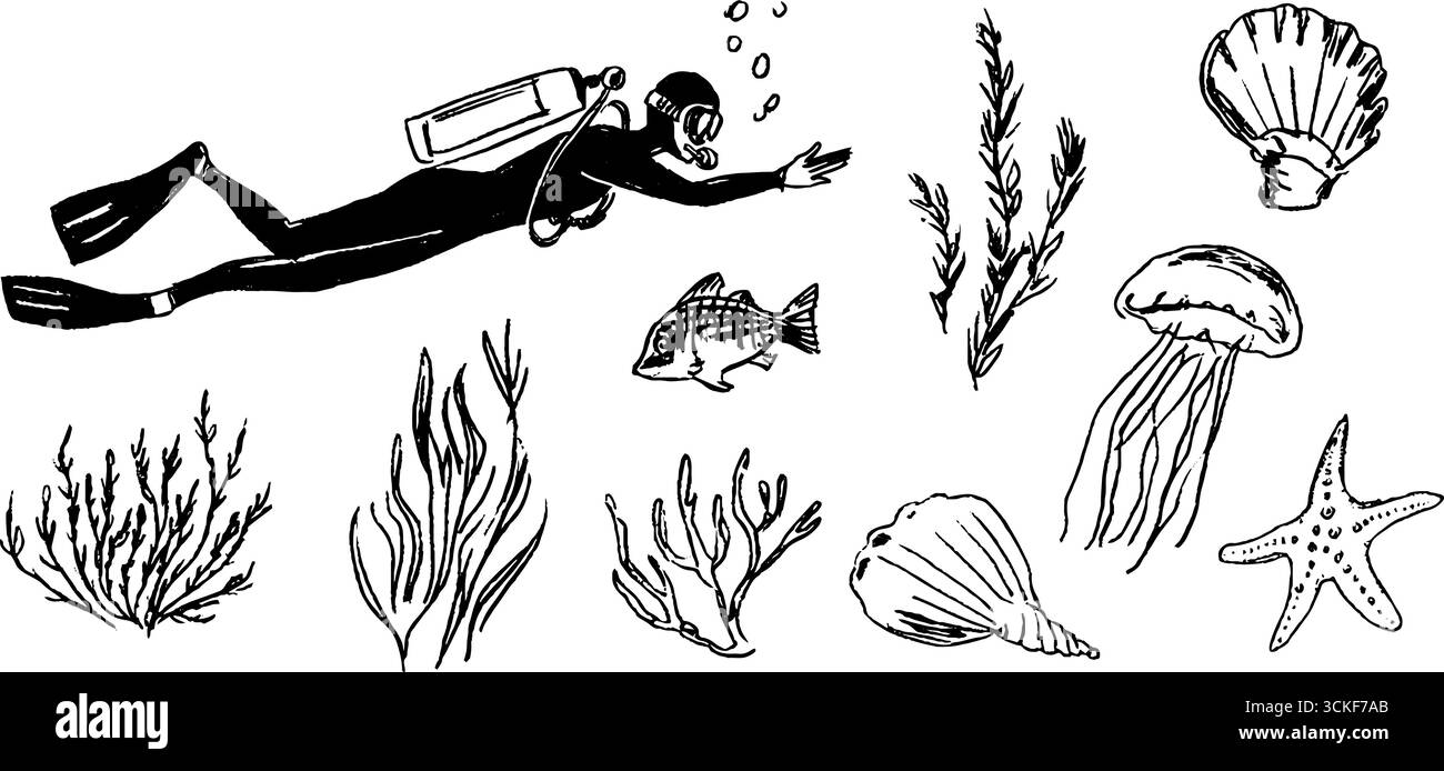 Scuba diver underwater plants Black and White Stock Photos & Images - Alamy