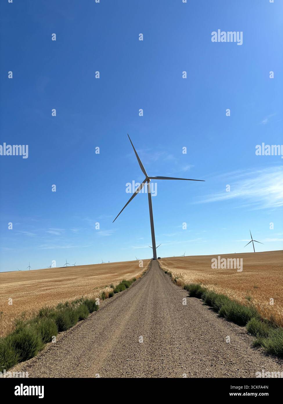 'Colorful sunset over a calm lake with boats at the shoreline and forest in the distance.' - Smartphone Captured Stock Image