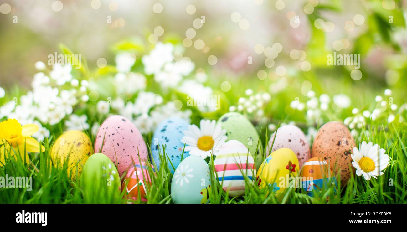 Easter eggs in the grass with daisies and daffodils, Composing Stock Photo