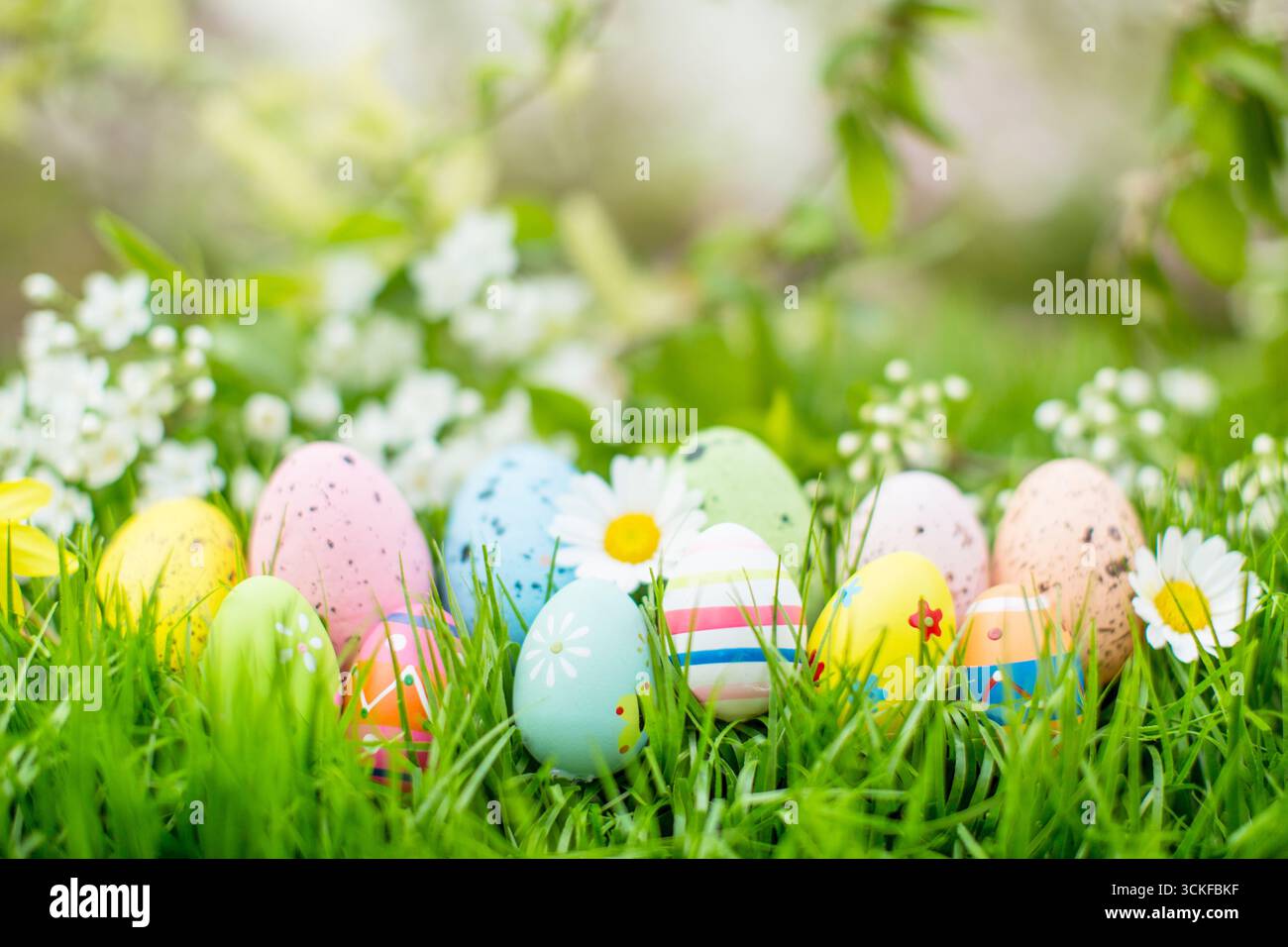 Easter eggs in the grass with daisies and daffodils, Composing Stock Photo