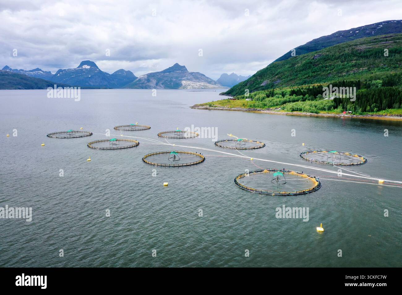 Aquaculture Fish Farm Salmon Farming Aerial Photo Norway Stock Photo aquaculture-fish-farm-salmon-farming-aerial-photo-norway-stock-photo