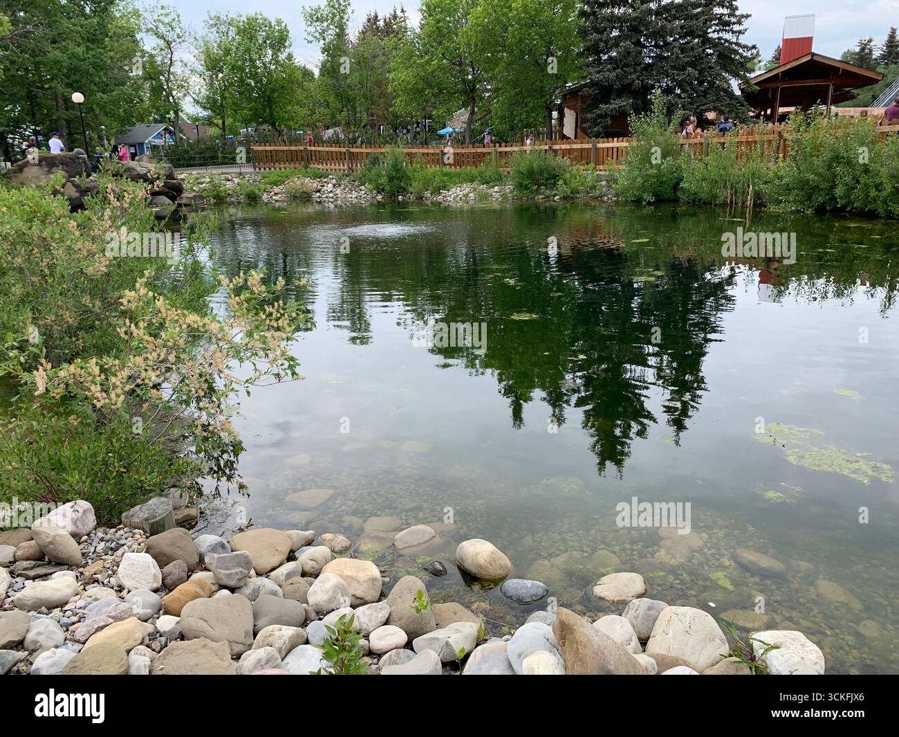A tranquil pond surrounded by lush greenery and rocks, with a charming wooden structure and visitors enjoying a day outdoors - Smartphone Captured Stock Image