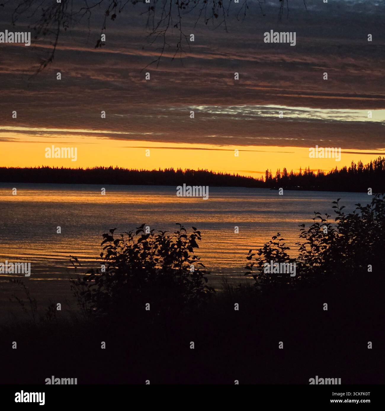 a peaceful sunset over a lake with warm hues reflecting on the water, framed by sihouetted foliage, capturing the serenity of nature at dusk. - Smartphone Captured Stock Image