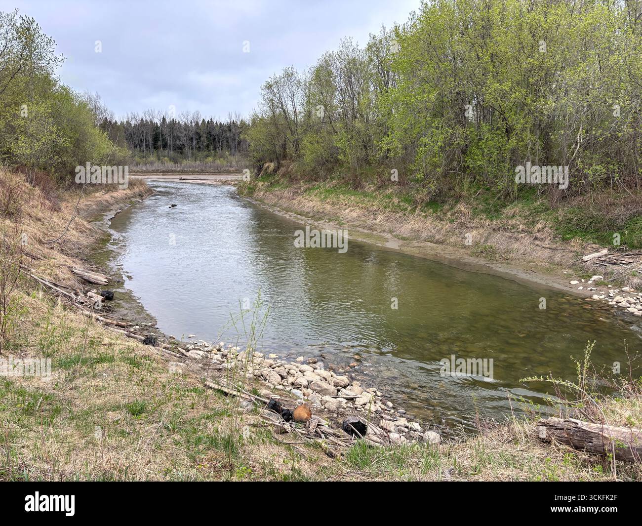 Peaceful river bend flowing through early spring greenery with trees and shrubs along the riverbank. - Smartphone Captured Stock Image