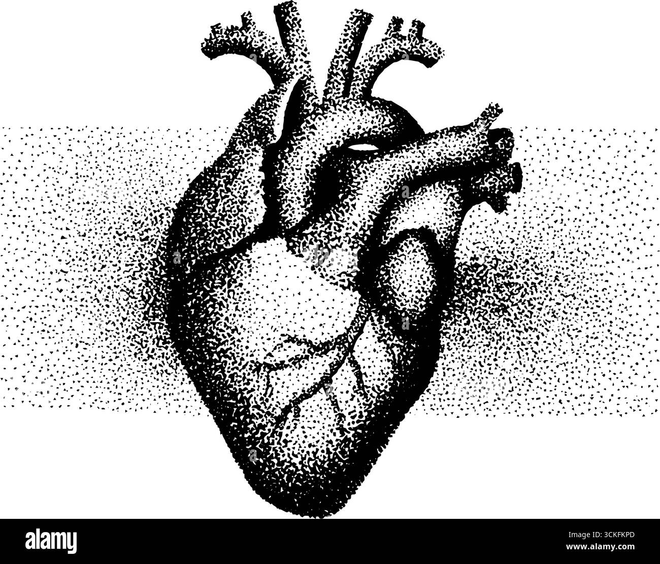 Stippling dotwork illustration of a human heart with halftone texture ...