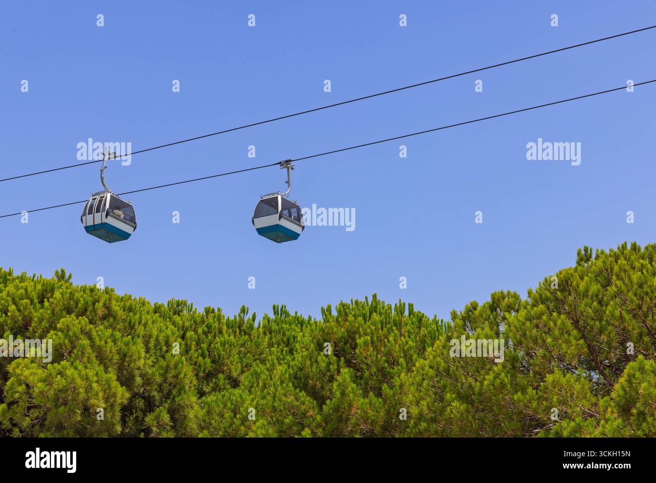 Two cable car cabins float against a clear blue sky, with the lush ...