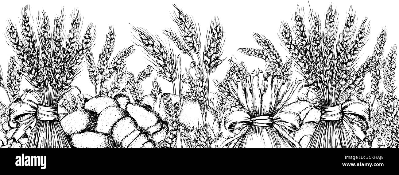 Vintage harvest collection: detailed black and white engraving of wheat ...