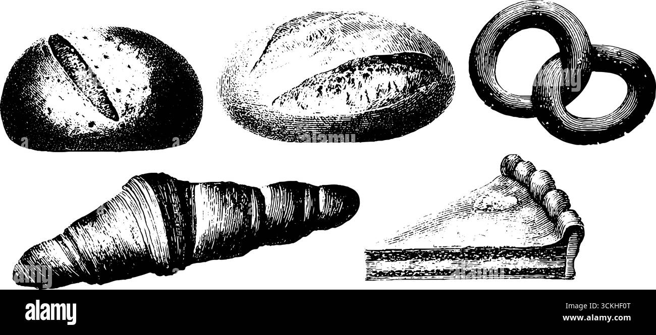 Vintage engraving of bakery goods collection featuring round bread ...