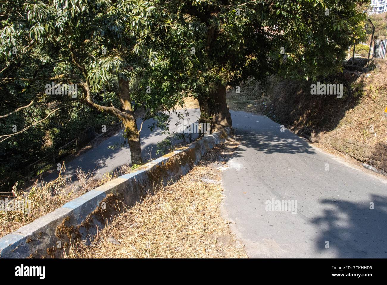 typical steep road in Kurseong, Darjeeling, India Stock Photo