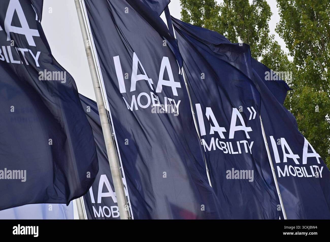 Inter Miami CF 3' x 5' Deluxe Logo Flag, image size:1300x956