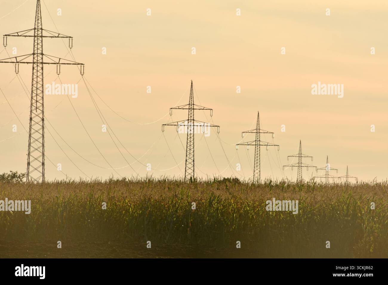 07.09.2025 Hochspannungsleitungen Deutschland/ Sachsen Anhalt/ Altmark ...