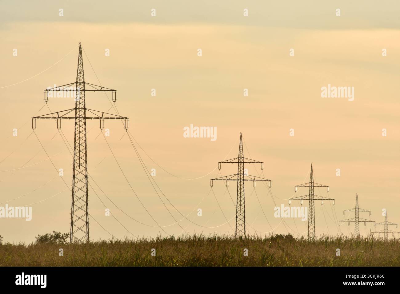 07.09.2025 Hochspannungsleitungen Deutschland/ Sachsen Anhalt/ Altmark ...