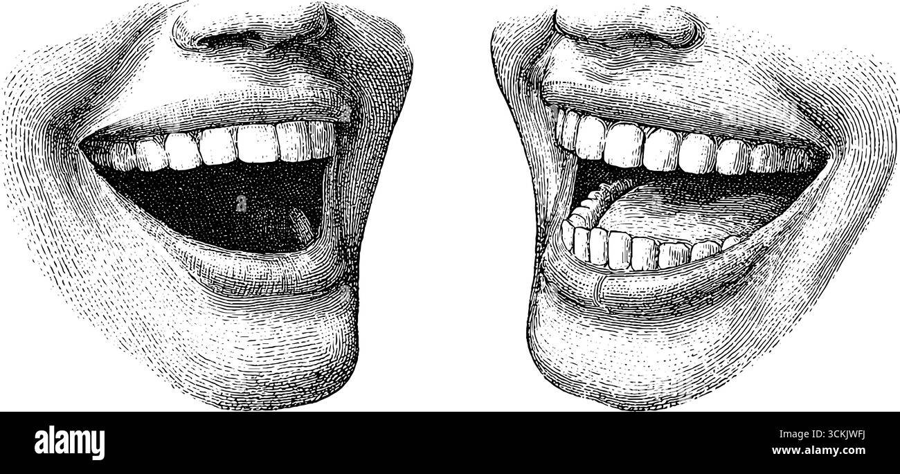Mouths laughing Black and White Stock Photos \u0026 Images - Alamy, image size:1300x685