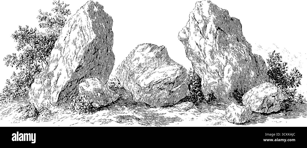 Vintage hand-drawn engraving of rocks with trees and bushes for retro ...