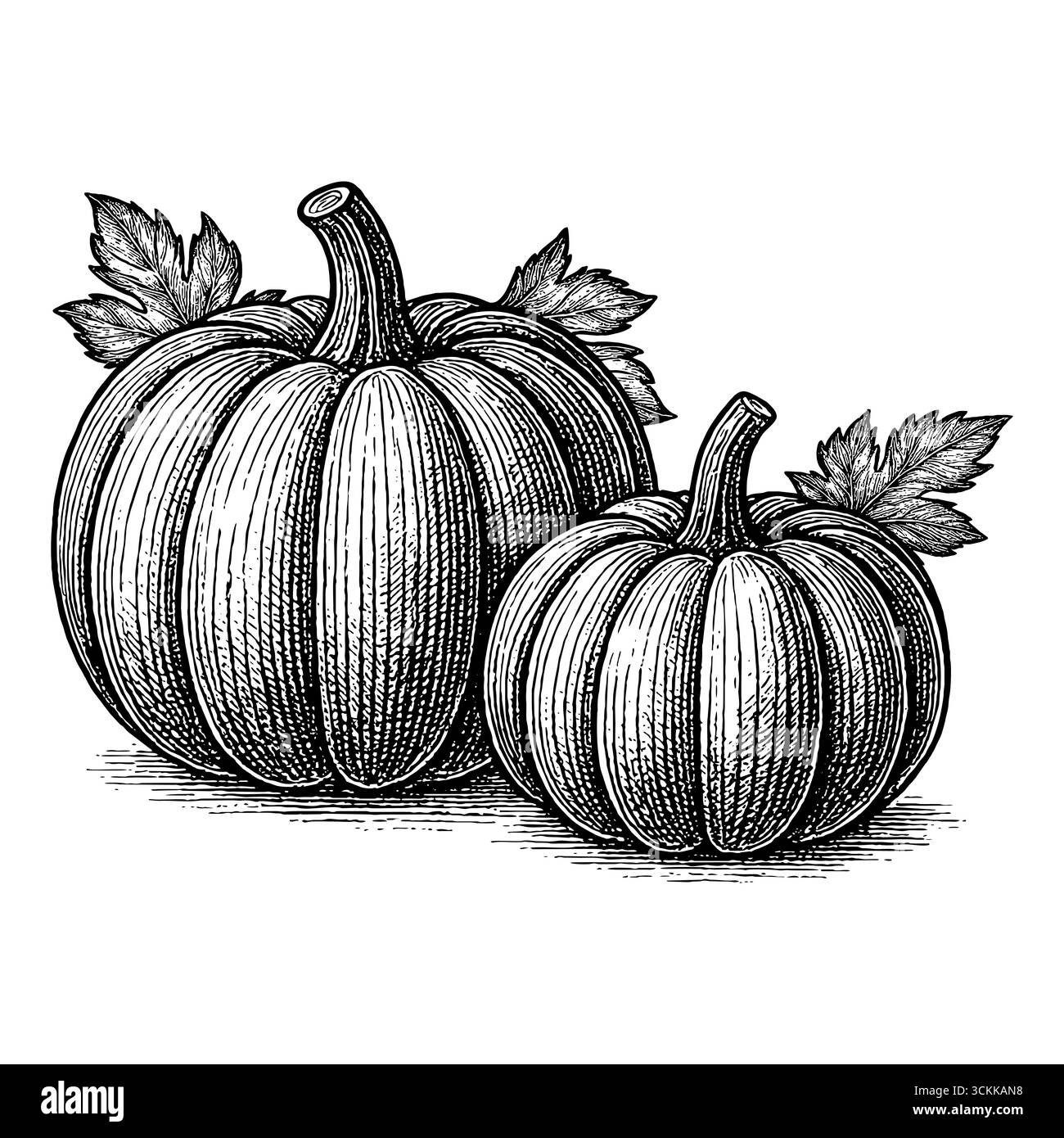 The pumpkin, a symbol of the bountiful harvest and of Harvest Day ...