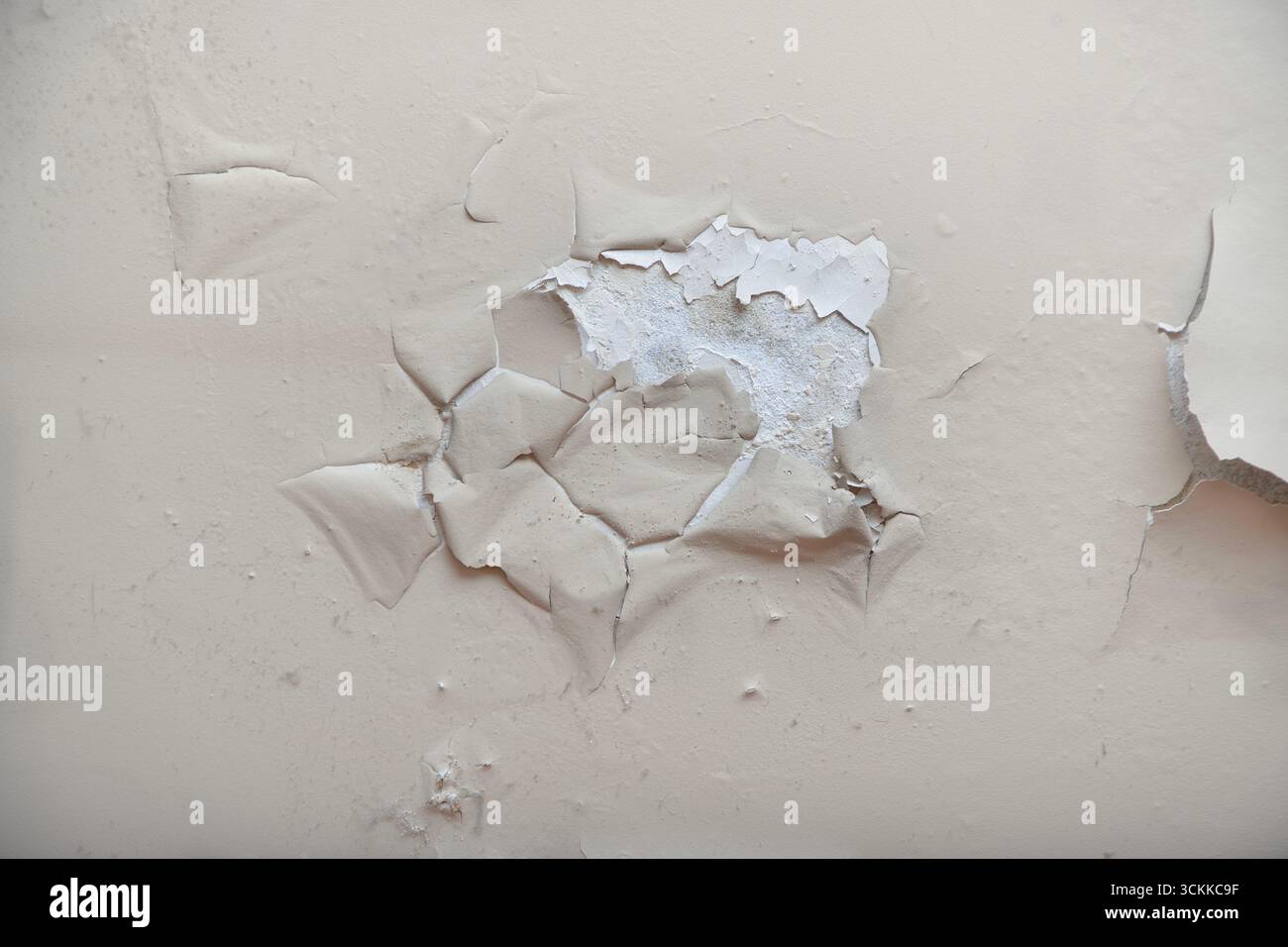 Peeling paint and cracked plaster wall with moisture damage. Stock Photo