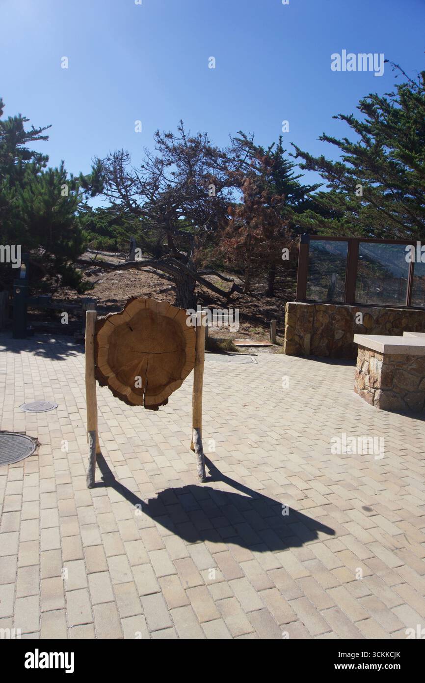 Tree Cross-Section Display at Coastal Nature Reserve in California ...