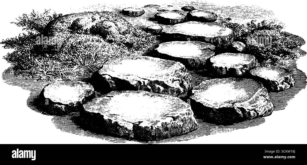 Engraved illustration of stone pathway with moss and vegetation for ...