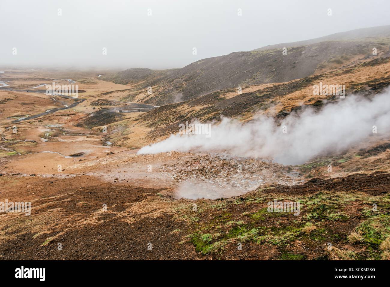 Active Geothermal Area In Iceland With Steam Vents And Hot Springs Across Golden Valley Landscape. Volcanic Activity, Natural Hot Water, Rugged Hills Stock Photo