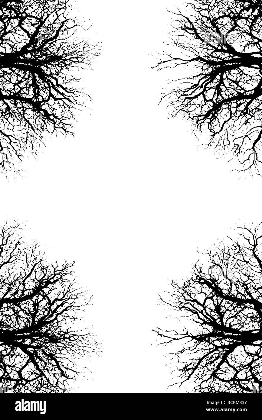 Complex branching pattern Black and White Stock Photos & Images - Alamy