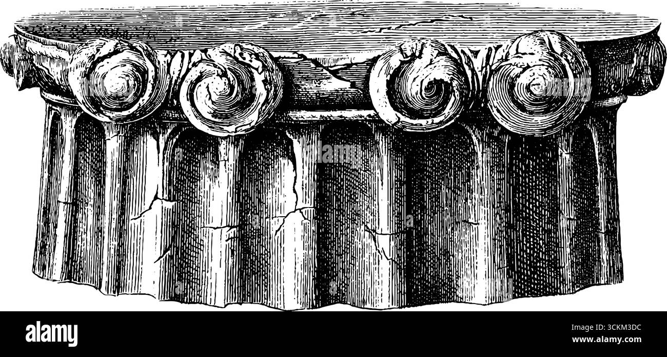 Engraved Illustration Of Ancient Greek Ionic Column Capital Design For engraved-illustration-of-ancient-greek-ionic-column-capital-design-for