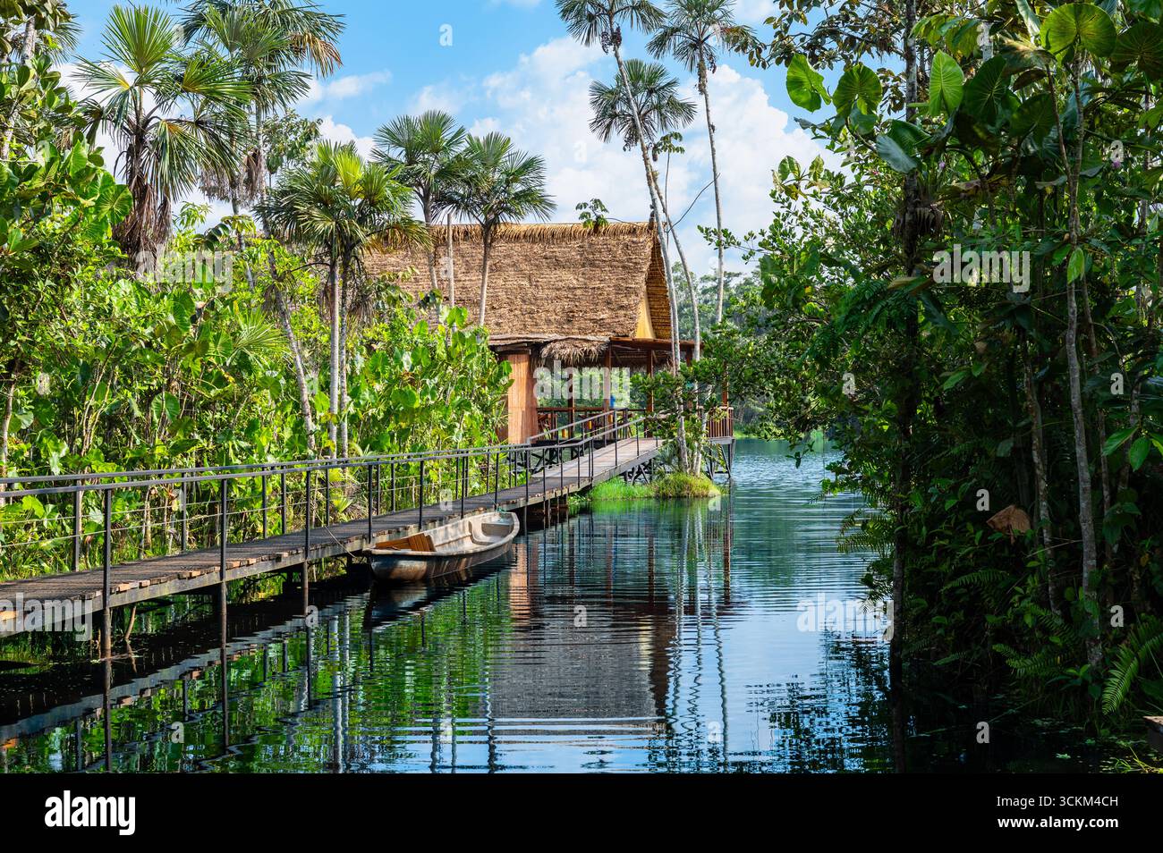 Tranquil Amazon Rainforest Lake with Canoe and Thatched Hut in Ecuador. Stock Photo
