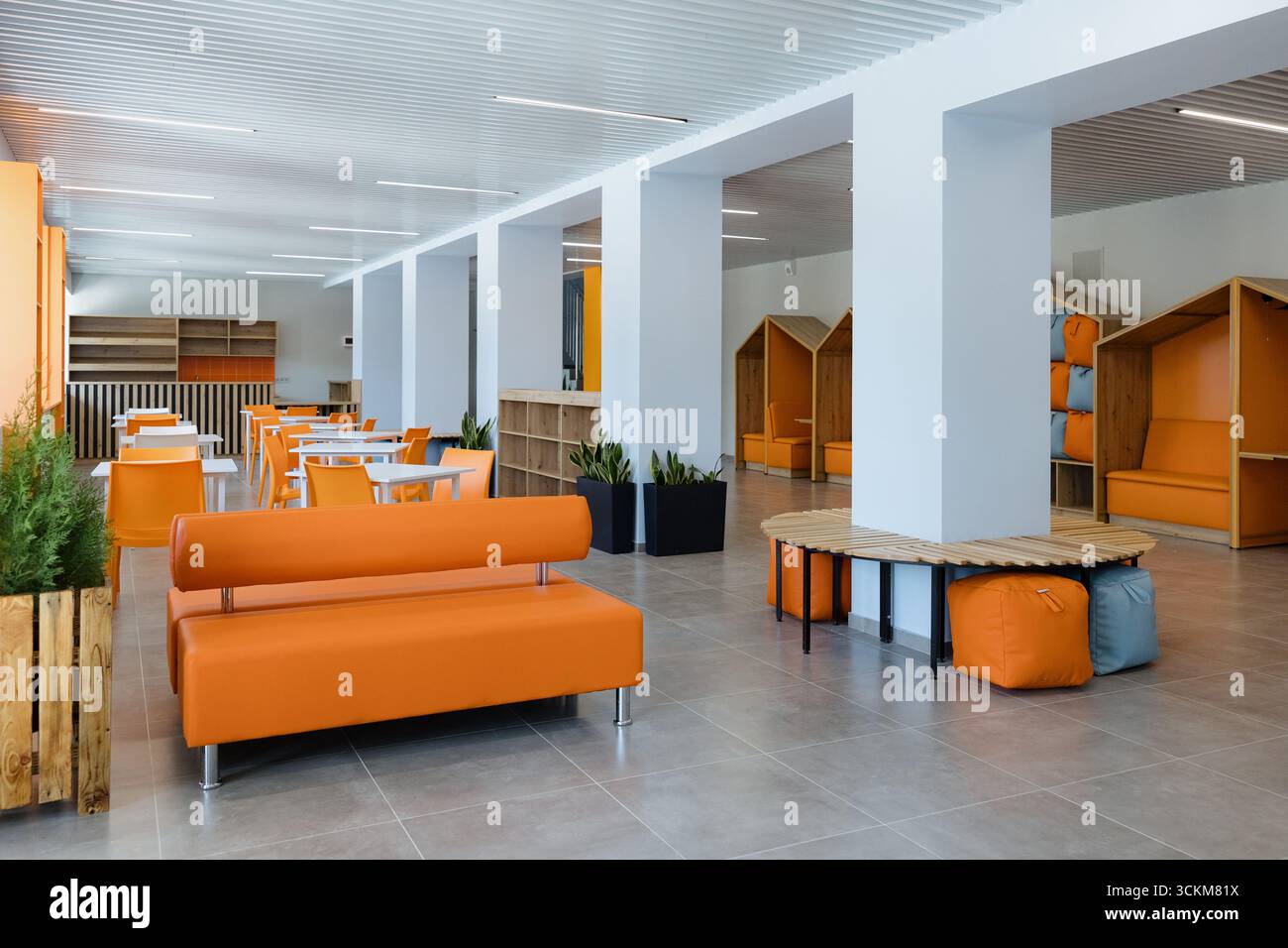 Bright, spacious room with orange sofas and unique seating fosters creativity, while greenery creates a refreshing vibe. Stock Photo