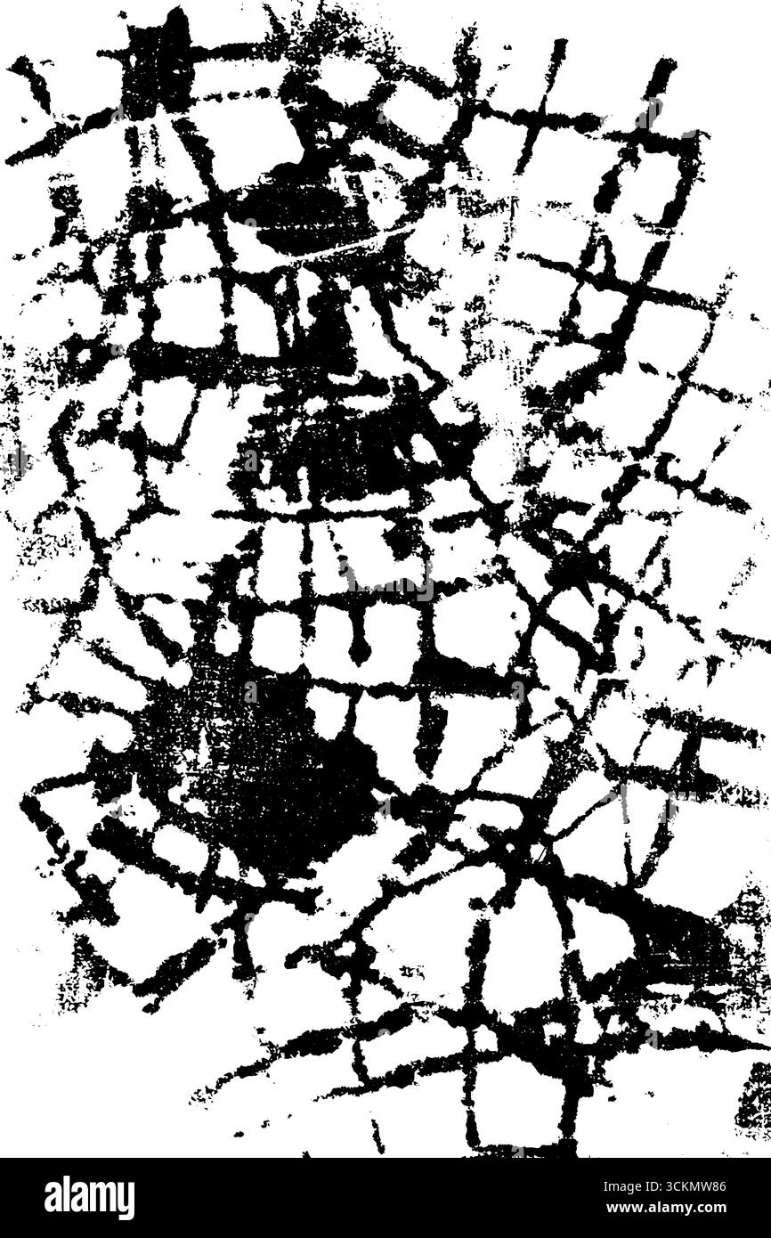Gothic geometric spider web pattern in black and white for halloween ...