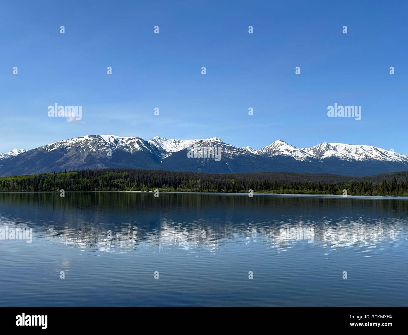 Pyramid Lake - Smartphone Captured Stock Image