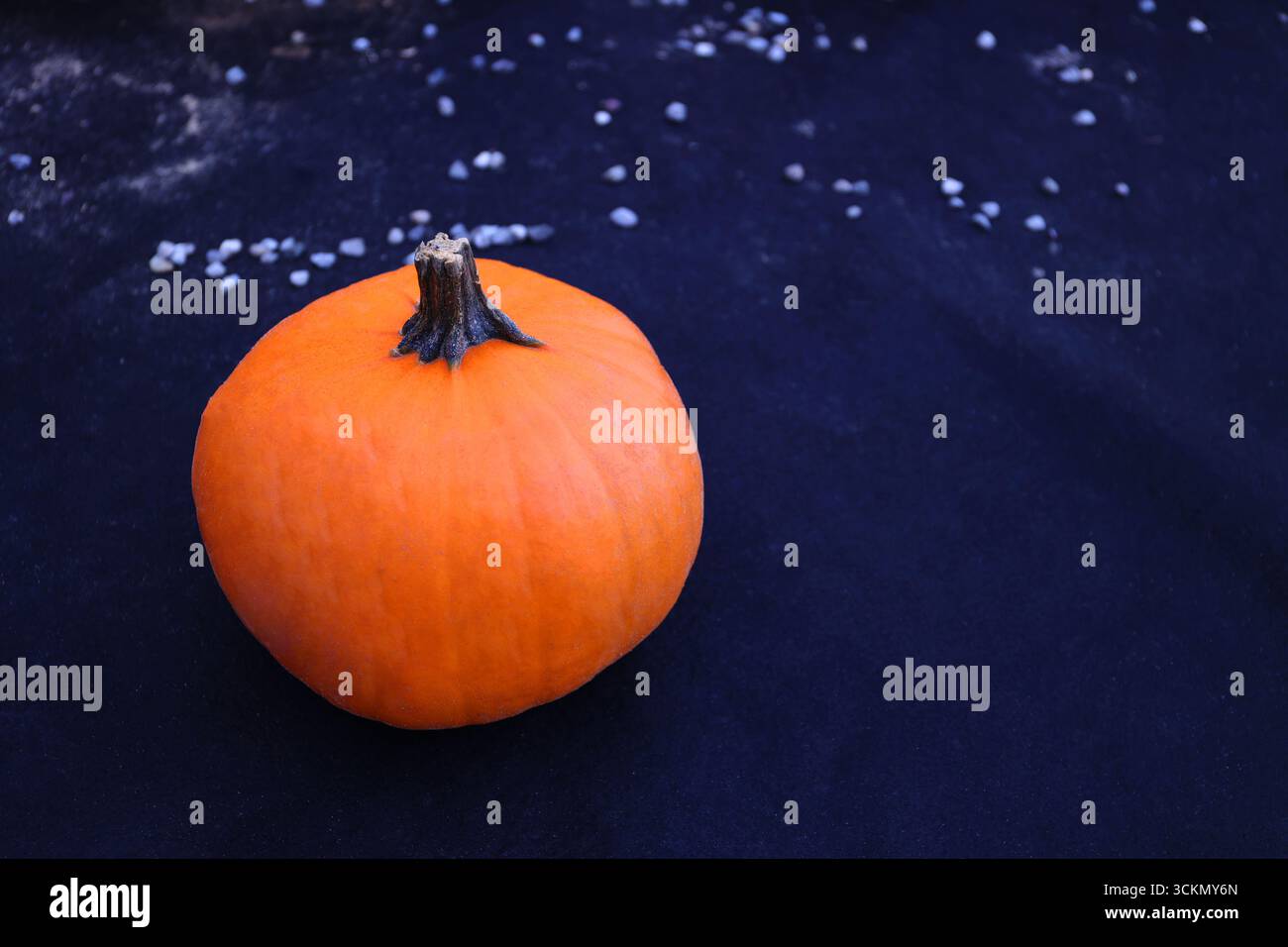 Single pumpkin on black surface – One orange pumpkin lying isolated on dark fabric background, minimal autumn still life Stock Photo