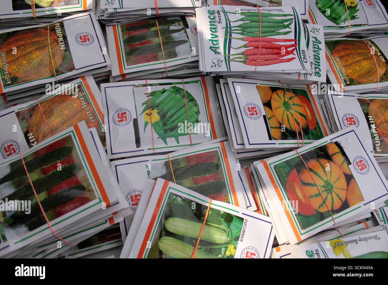 Vegetable Seeds in Seed Gardening - Walmart.com, image size:1300x956