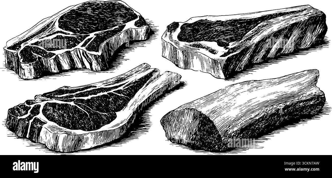 Slab of ribs Stock Vector Images - Alamy