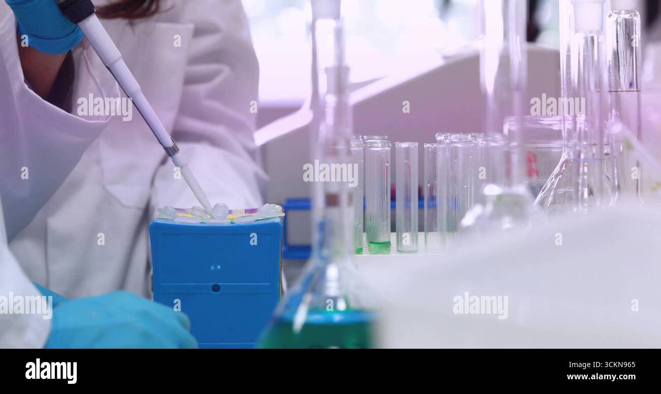 Using micropipette gloved technician transferring drop into blue rack at lab bench, copy space Stock Photo