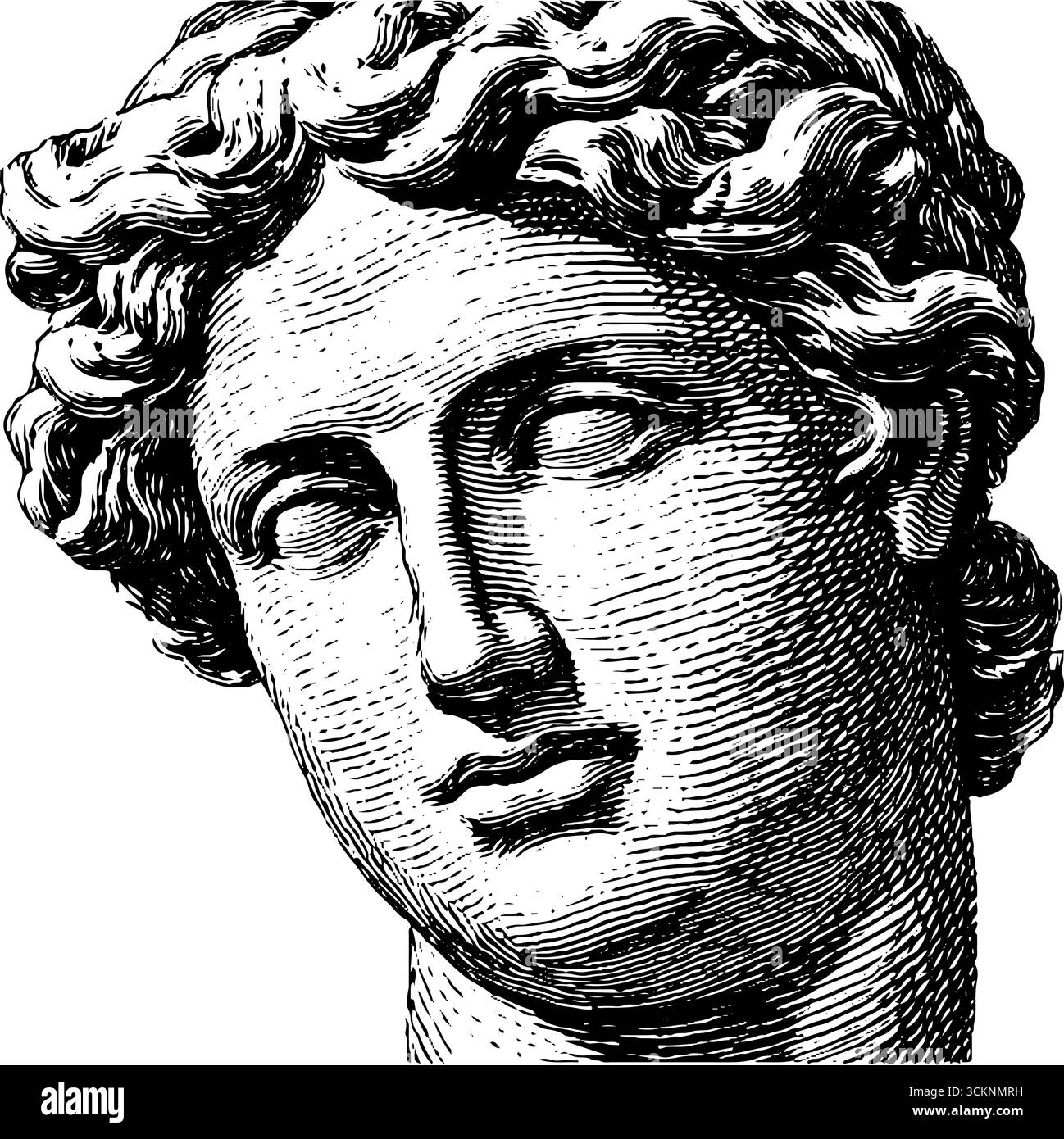 Engraved illustration of venus de milo head - classical art inspiration ...